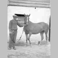 020-0112 Kapkeim 1935, Gustav Zepik mit der Zuchtstute.jpg